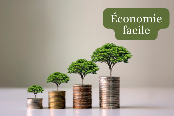 ECONOMISER TOUS LES JOURS : 6 PRATIQUES DU QUOTIDIEN